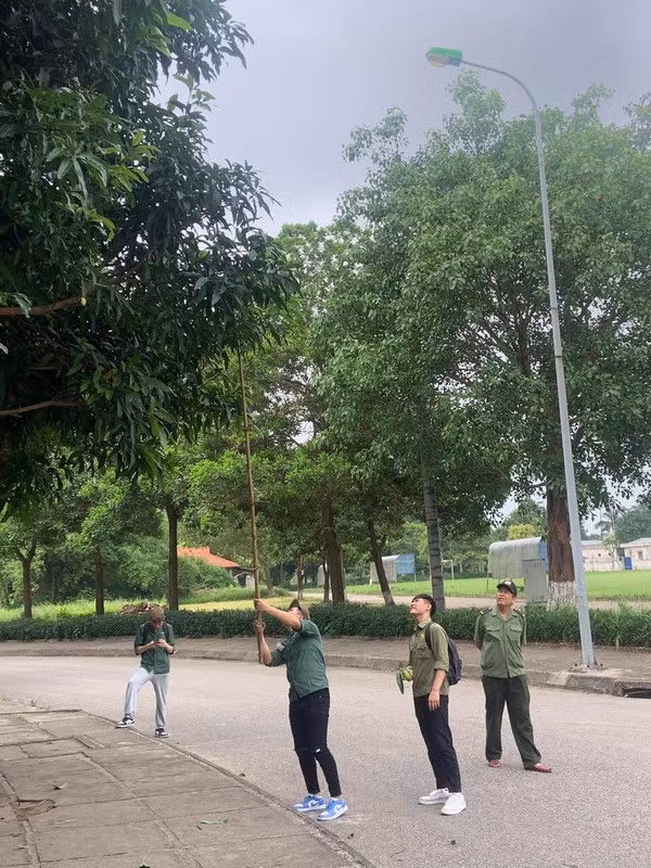 Bên dưới phần bình luận, nhiều cư dân mạng "tag" tên bạn bè cũ từng học chung trường vào để ôn lại kỷ niệm một thời hái xoài trộm.