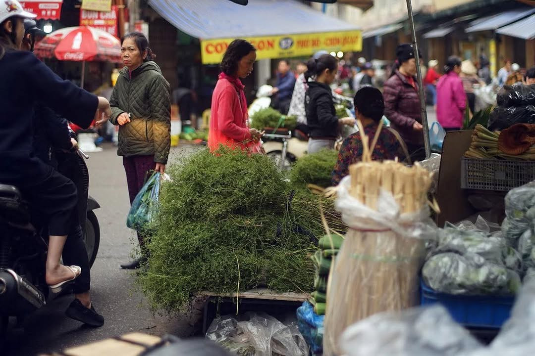 Lá mùi già với hương thêm dịu nhẹ, mang lại cảm giác thanh tịnh. Mùi già "xuống phố" đồng nghĩa với Tết Nguyên đán đang gần kề.
