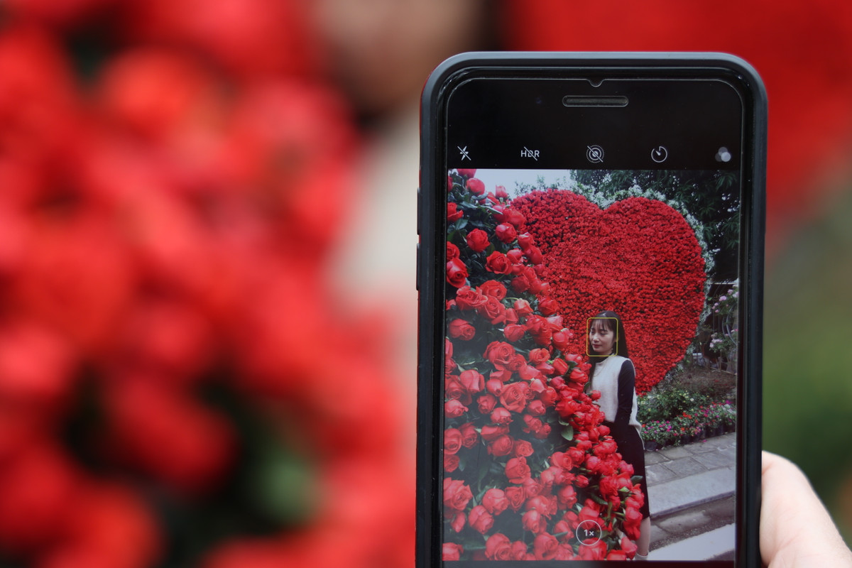 Sau lễ cắt băng khánh thành con đường hoa của lãnh đạo Huyện Mê Linh, người dân ở đây cũng như các vùng lân cận đã tới để chiêm ngưỡng và thưởng thức hương sắc của những loại hoa thế mạnh như hoa hồng, cúc...