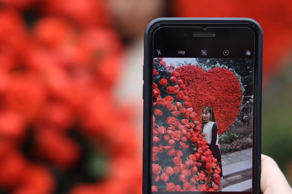 Sau lễ cắt băng khánh thành con đường hoa của lãnh đạo Huyện Mê Linh, người dân ở đây cũng như các vùng lân cận đã tới để chiêm ngưỡng và thưởng thức hương sắc của những loại hoa thế mạnh như hoa hồng, cúc...