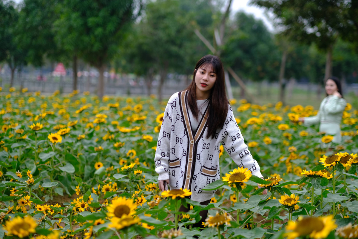 Khu trưng bày tại Festival có 85 gian hàng, quảng bá, giới thiệu nhiều sản phẩm tiêu biểu của các doanh nghiệp TP Hà Nội, huyện Mê Linh và 10 tỉnh, thành phố trong cả nước.
