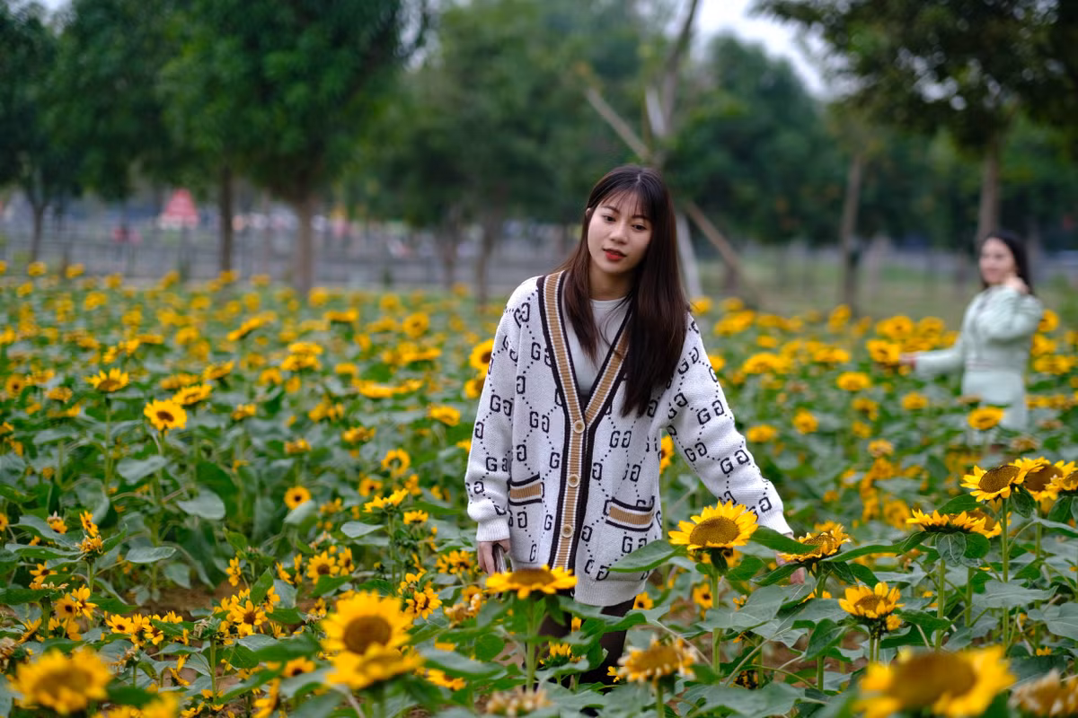 Khu trưng bày tại Festival có 85 gian hàng, quảng bá, giới thiệu nhiều sản phẩm tiêu biểu của các doanh nghiệp TP Hà Nội, huyện Mê Linh và 10 tỉnh, thành phố trong cả nước.