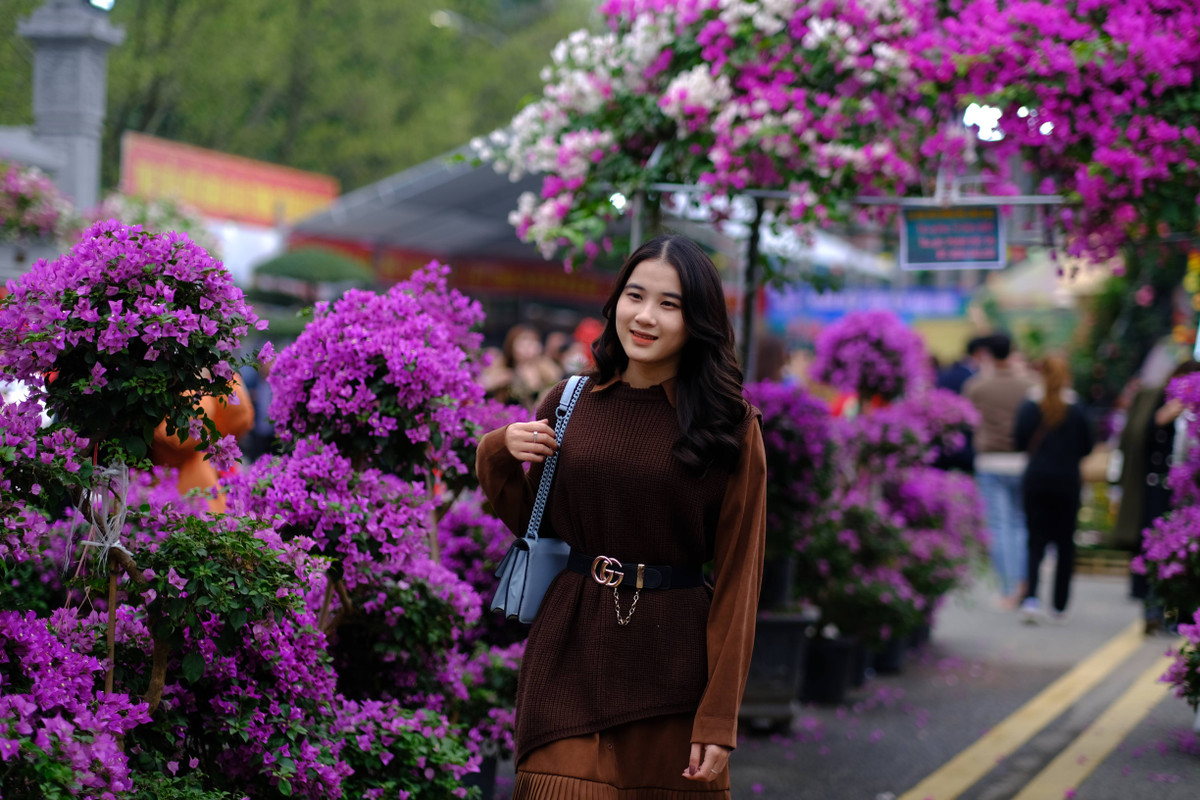 Nhiều khu vực hoa được lãnh đạo huyện Mê Linh trực tiếp chỉ đạo, dàn dựng để du khách chụp ảnh "check-in" chào đón năm mới.