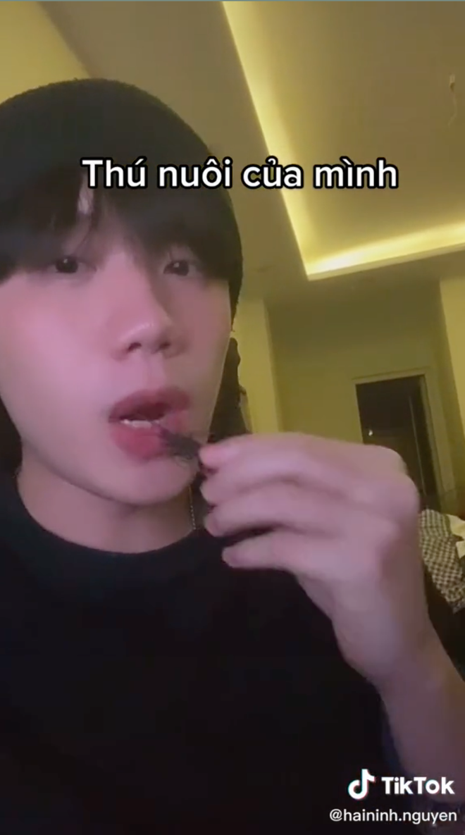 Cụ thể, trong một video TikTok, Hải Ninh đã khoe cho mọi người sở thích của mình với những con gián.