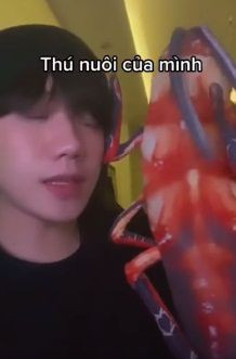 Chưa dừng lại, Hải Ninh còn khoe là nuôi trong nhà, ôm gấu bông hình gián đi ngủ hay cho gián bò lên người,...