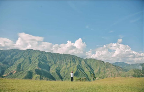 Thì ra, Tà Xùa đâu chỉ có mỗi mây, nơi này còn có thảo nguyên đẹp đến vậy.