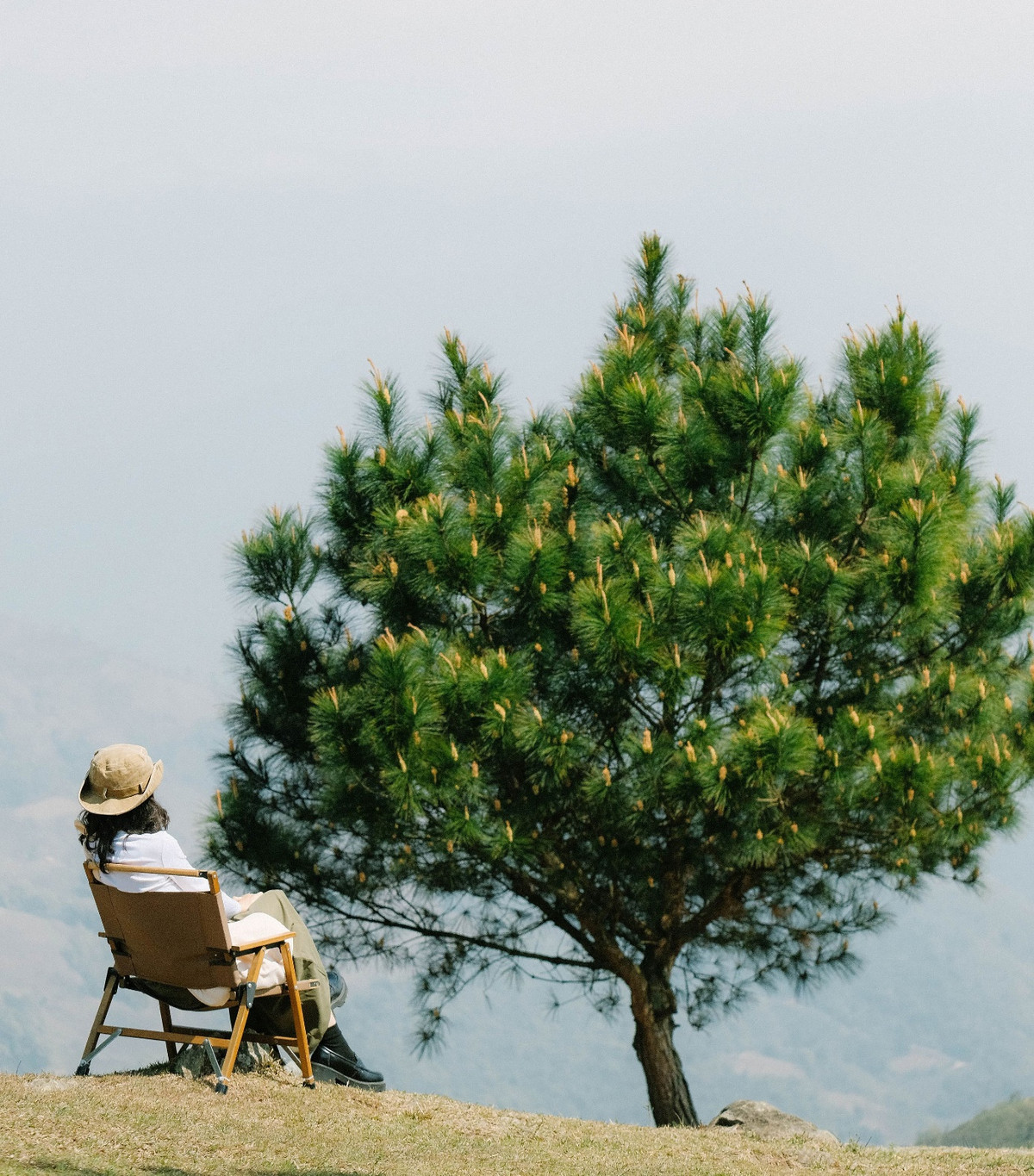 Thảo nguyên Tà Xùa nằm trên cung đường đi đến điểm Mỏm Cá Heo và Cây cô đơn. Nhìn từ đây bạn sẽ thấy những dãy núi lớn xanh mướt mắt và bầu trời rộng mênh mông. Mùa này ở đây ngút ngàn màu xanh tươi mát.