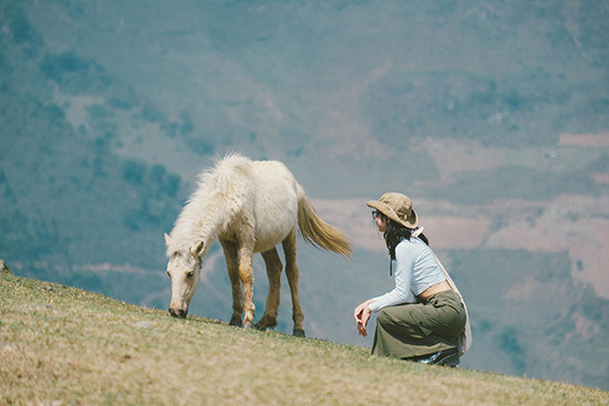 Nếu đi tour 2 ngày một đêm từ Hà Nội lên Tà Xùa thường có giá 800.000-1.500.000 đồng, tuỳ dịch vụ đi kèm. Bạn có thể lựa chọn luôn nhóm Ba Đứa Mình để không lo khâu chụp ảnh.