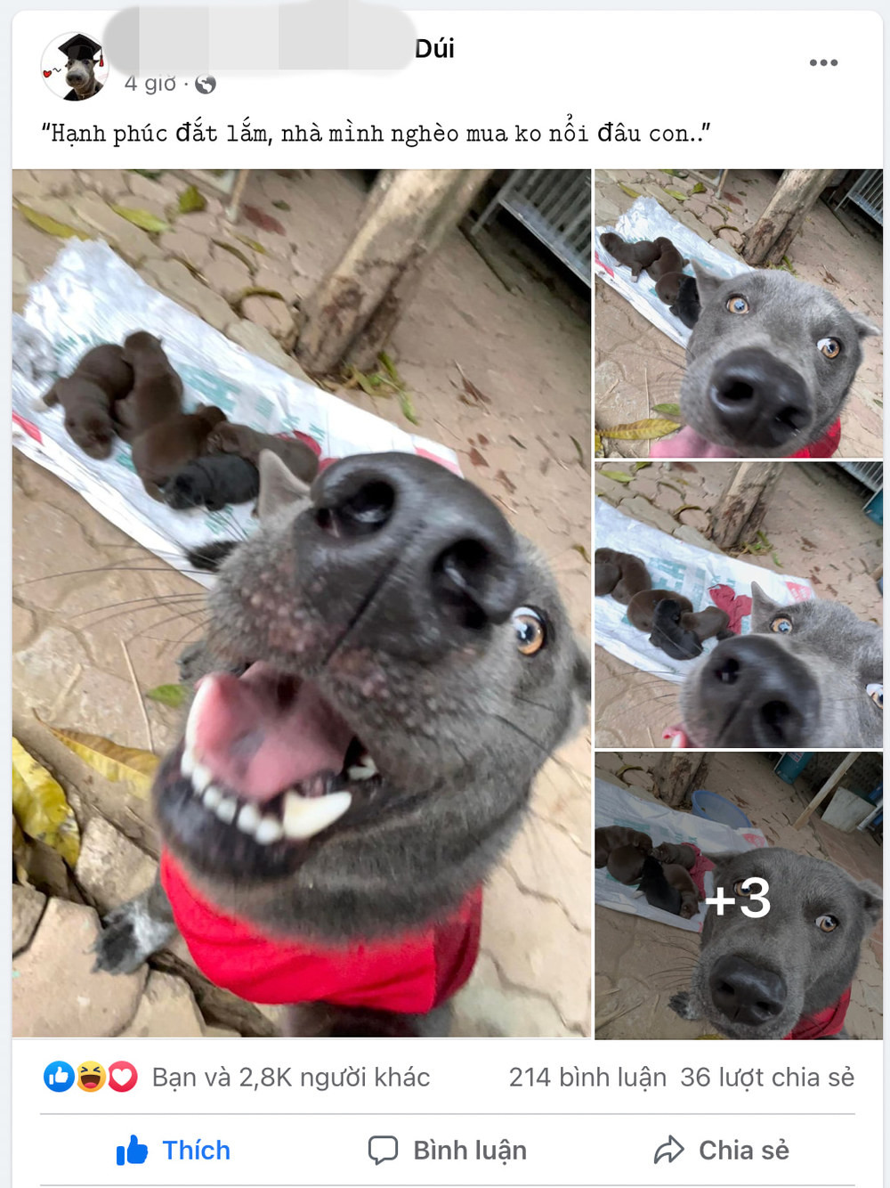 Bẵng đi một thời gian, mới đây idol Nguyễn Văn Dúi bất ngờ trở lại với một "chức danh" mới.