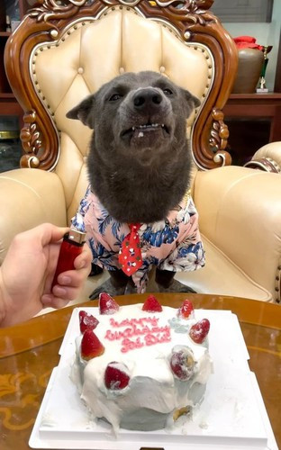 Trong một bài đăng khác trước đây, "idol giới trẻ" khiến netizen "đỡ không kịp" khi đã biết mang trứng về cho vợ.