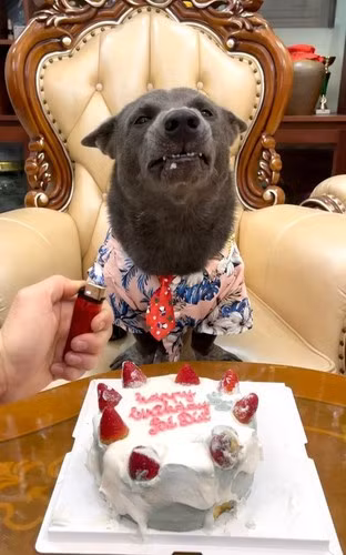 Trong một bài đăng khác trước đây, "idol giới trẻ" khiến netizen "đỡ không kịp" khi đã biết mang trứng về cho vợ.