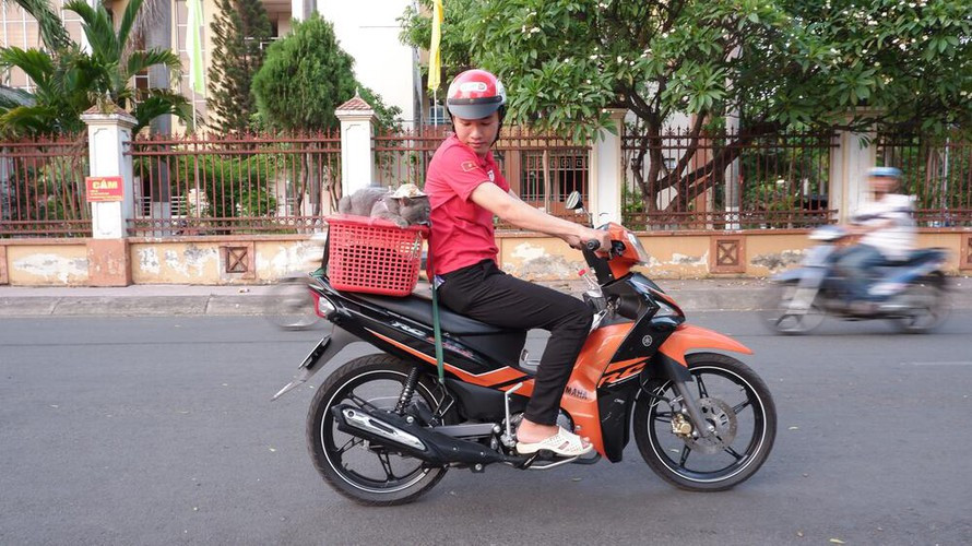 Theo đó, họ thương "boss" không thăng bằng được lại té ngã ra giữa đường thì khổ. Thậm chí, nhiều người còn cho rằng mèo có thần kinh yếu việc cho ra đường như này không tốt cho chúng.