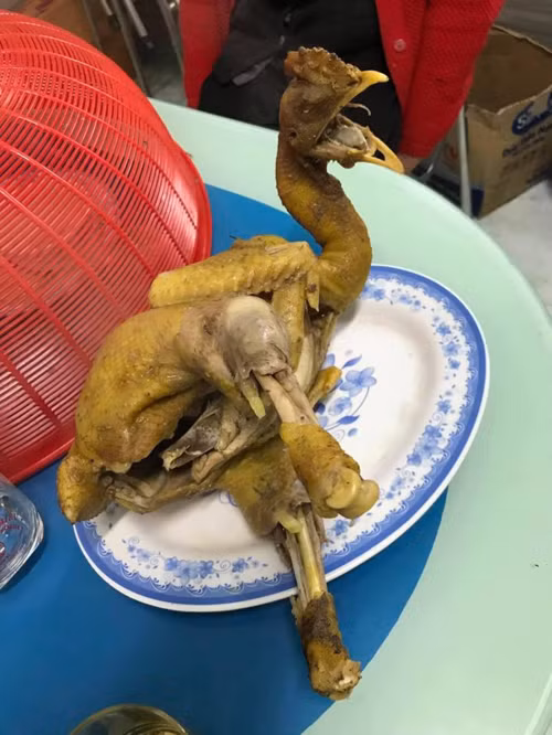 Gáy vang lần cuối nào.