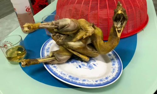 Con gà luộc quá lâu nên bị bong tróc hết da.