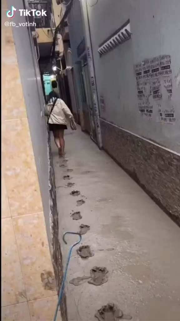 Việc mọi người bất chấp đi vào đường vừa mới đổ bê tông không còn quá lạ. Trước đây, nó từng được chia sẻ rất nhiều trên mạng xã hội và lần nào cũng khiến dân tình bức xúc.