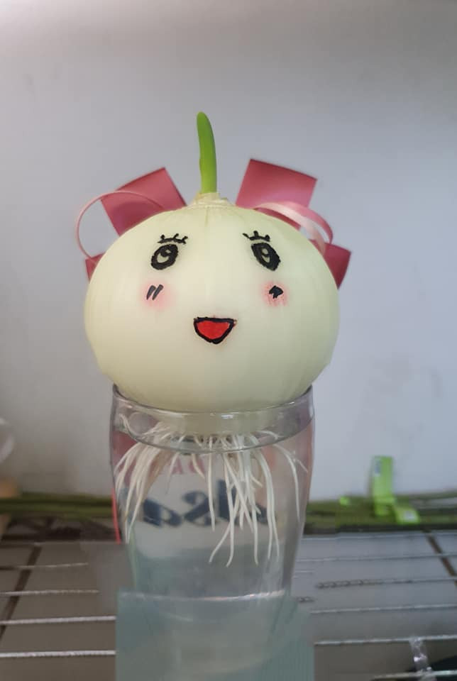 Chính vì vậy, trào lưu "trồng củ hành" quả thật là trò tiêu khiển không những đáng yêu mà còn vô cùng tiện lợi. Trong thời điểm dịch viêm phổi do virus Corona mà cụ thể hơn là dịch COVID-19 đang có diễn biến phức tạp thì nó lại càng hữu ích hơn.