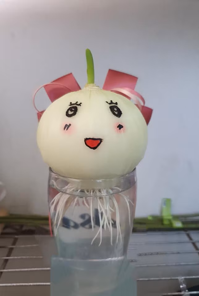 Chính vì vậy, trào lưu "trồng củ hành" quả thật là trò tiêu khiển không những đáng yêu mà còn vô cùng tiện lợi. Trong thời điểm dịch viêm phổi do virus Corona mà cụ thể hơn là dịch COVID-19 đang có diễn biến phức tạp thì nó lại càng hữu ích hơn.