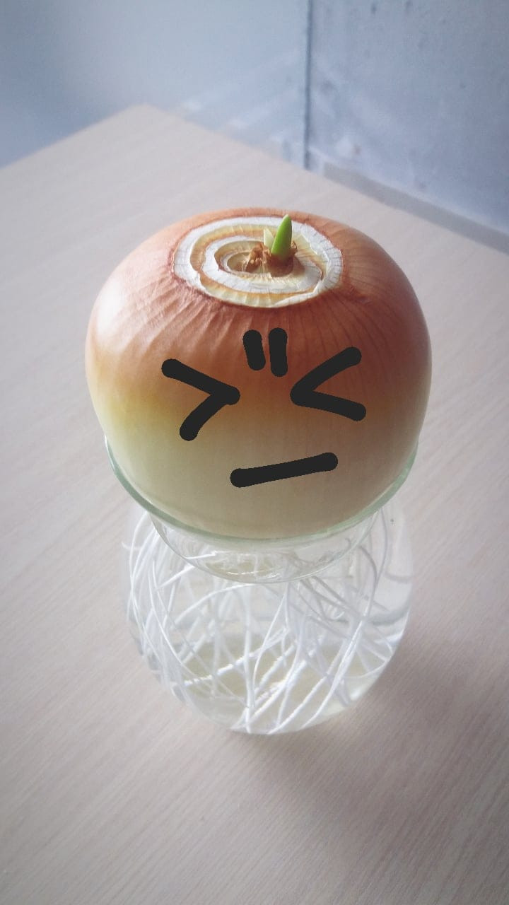 Thật ra trào lưu trồng củ hành này mang một ý nghĩa đẹp đẽ về tình yêu mà có lẽ nhiều người còn chưa biết.