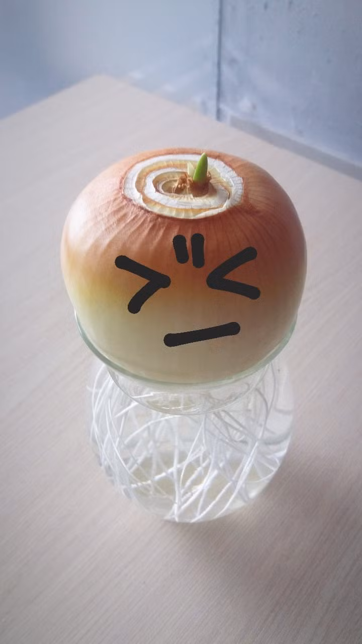 Thật ra trào lưu trồng củ hành này mang một ý nghĩa đẹp đẽ về tình yêu mà có lẽ nhiều người còn chưa biết.