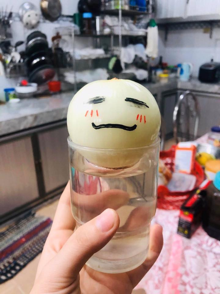 Theo nhiều người cho biết, theo lời ca khúc "Hành tây" của nhóm nhạc Ngũ Nguyệt Thiên nổi tiếng xứ Đài thì củ hành tây cũng như một người, nhìn bề ngoài sẽ không thấy có gì đặc biệt, nhưng khi bóc từng lớp vỏ sẽ khiến người ta thấy được nội tại bên trong.