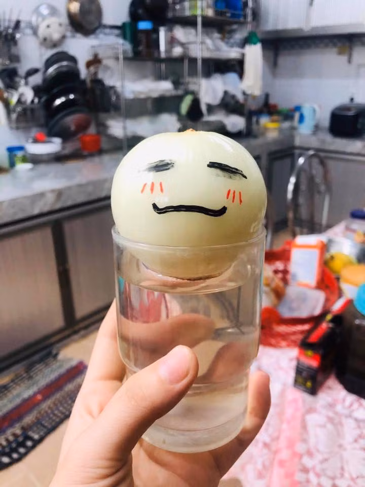 Theo nhiều người cho biết, theo lời ca khúc "Hành tây" của nhóm nhạc Ngũ Nguyệt Thiên nổi tiếng xứ Đài thì củ hành tây cũng như một người, nhìn bề ngoài sẽ không thấy có gì đặc biệt, nhưng khi bóc từng lớp vỏ sẽ khiến người ta thấy được nội tại bên trong.