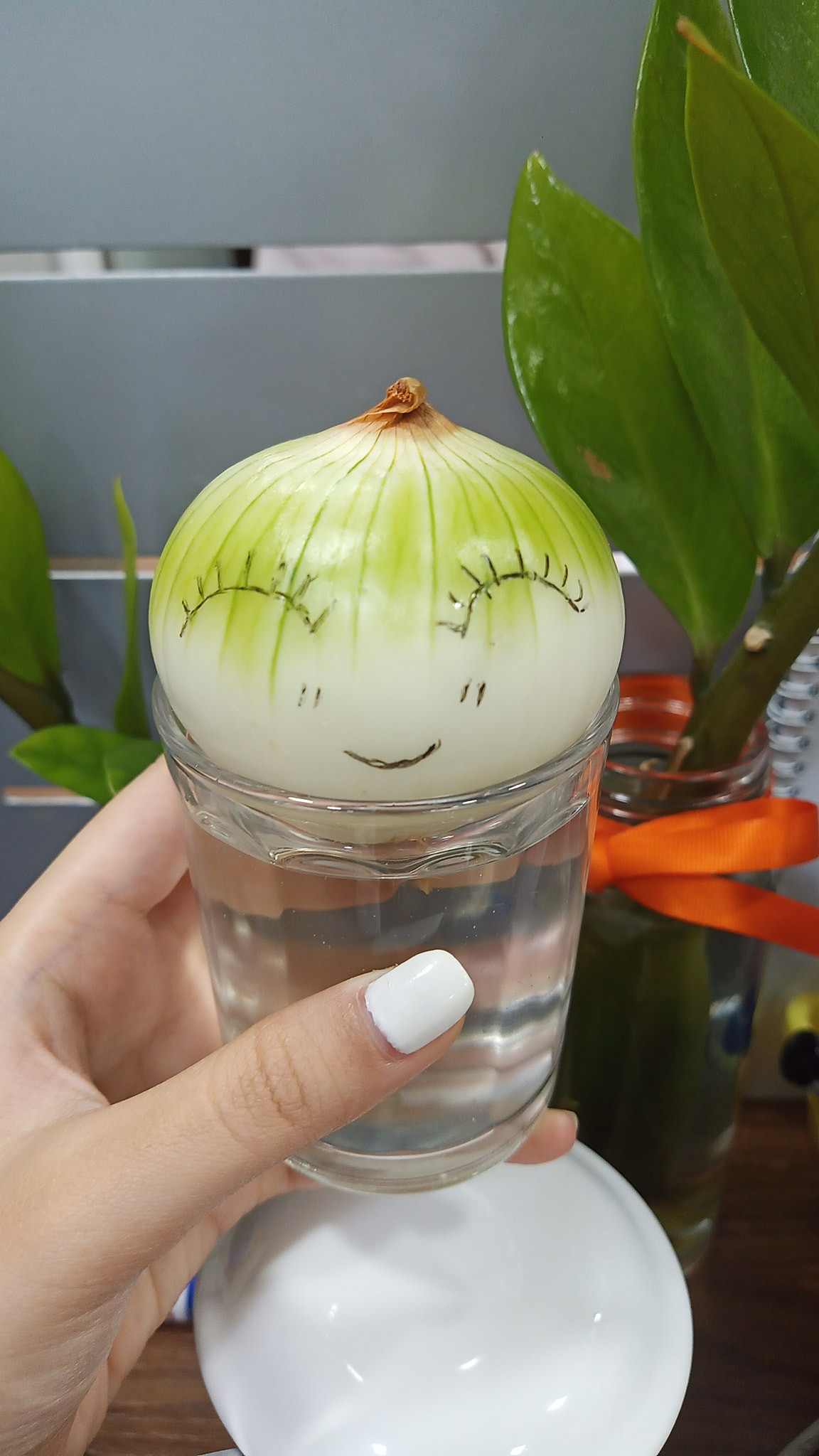 Không những thế, ngồi ngắm những "bé củ hành" đáng yêu ấy lớn lên từng ngày cũng là một trải nghiệm thú vị mà nhiều bạn trẻ đang ưu ái chia sẻ khắp mạng xã hội.