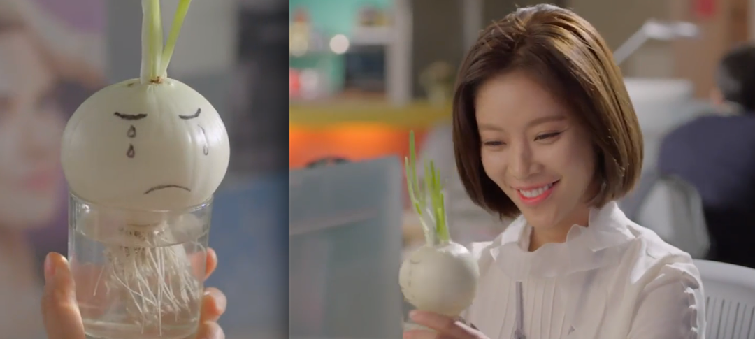 Các "bé củ hành" được chủ nhân vẽ lên thân hình mập mạp, trắng trẻo những khuôn mặt với biểu cảm từ vui vẻ, hạnh phúc, đáng yêu đến giận dữ đầy sáng tạo.