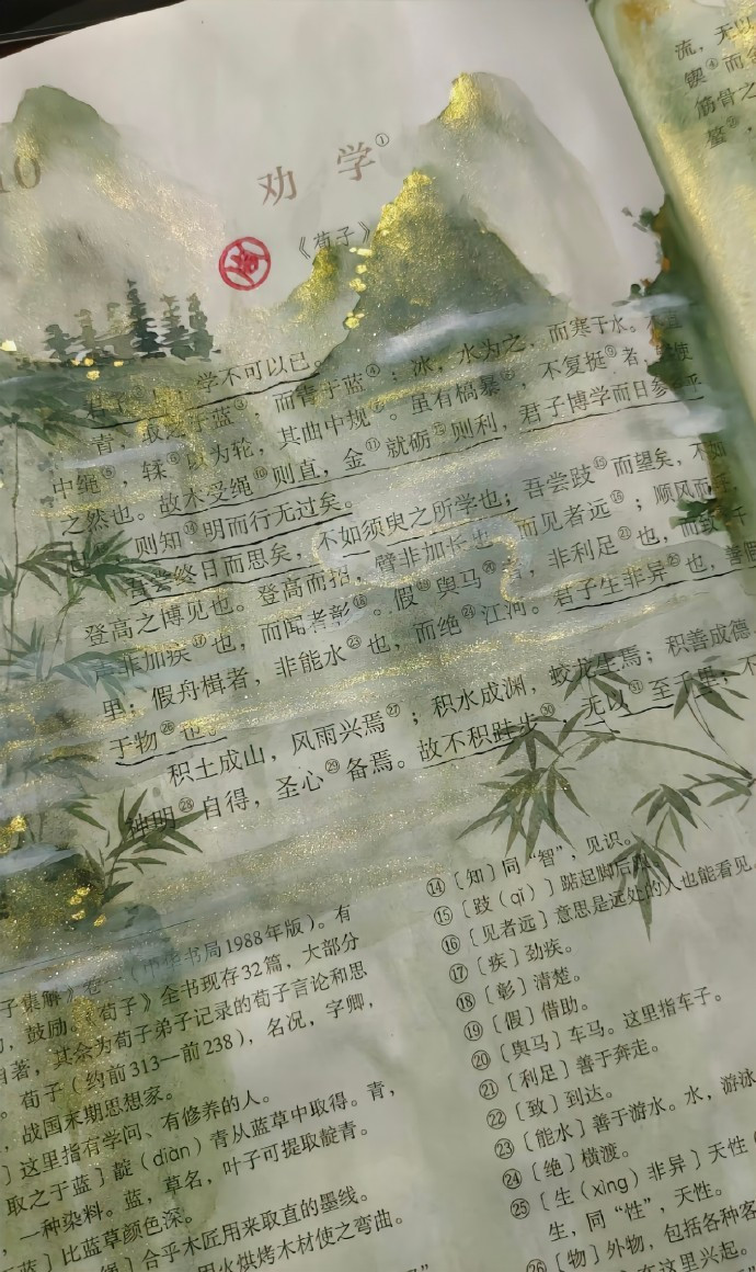 Những hình ảnh được lan truyền với tốc độ chóng mặt trên mạng xã hội. - Ảnh: Lost Bird