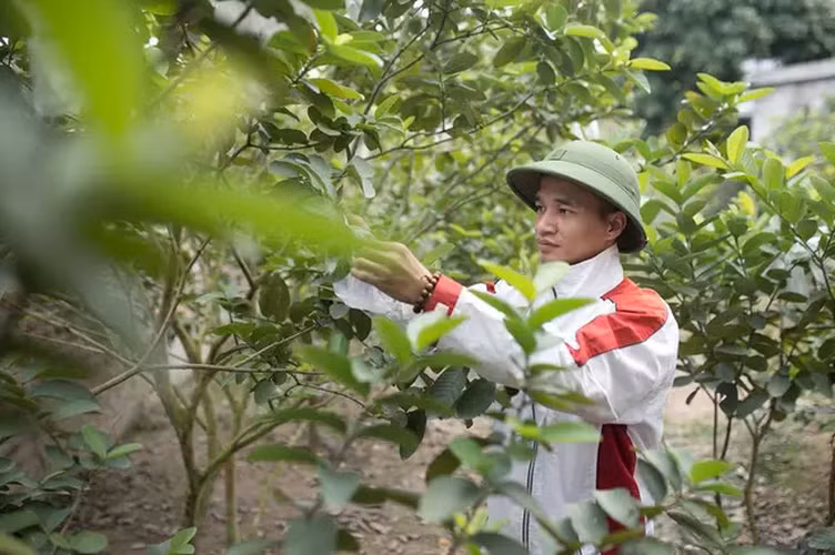 Những năm qua, Lệ Rơi chưa một lần tiếc nuối về sự nổi tiếng, đi đến đâu cũng khiến mọi người chú ý như trước kia. Anh gọi gần 10 năm đó là “bản nháp” của cuộc đời mình, là một sự ảo tưởng phải mất quá nhiều thời gian anh mới “tỉnh mộng”.
