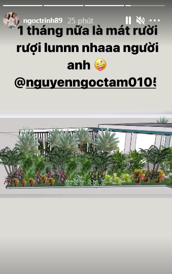 Sự việc bị quay lén "nữ hoàng nội y" dần đi vào im ắng. Tuy nhiên mới đây, Ngọc Trinh đã chuẩn bị cho thiết kế lại phần bên ngoài biệt thự bằng việc trồng nhiều cây xanh để tránh sự nhòm ngó của hàng xóm như từng xảy ra.