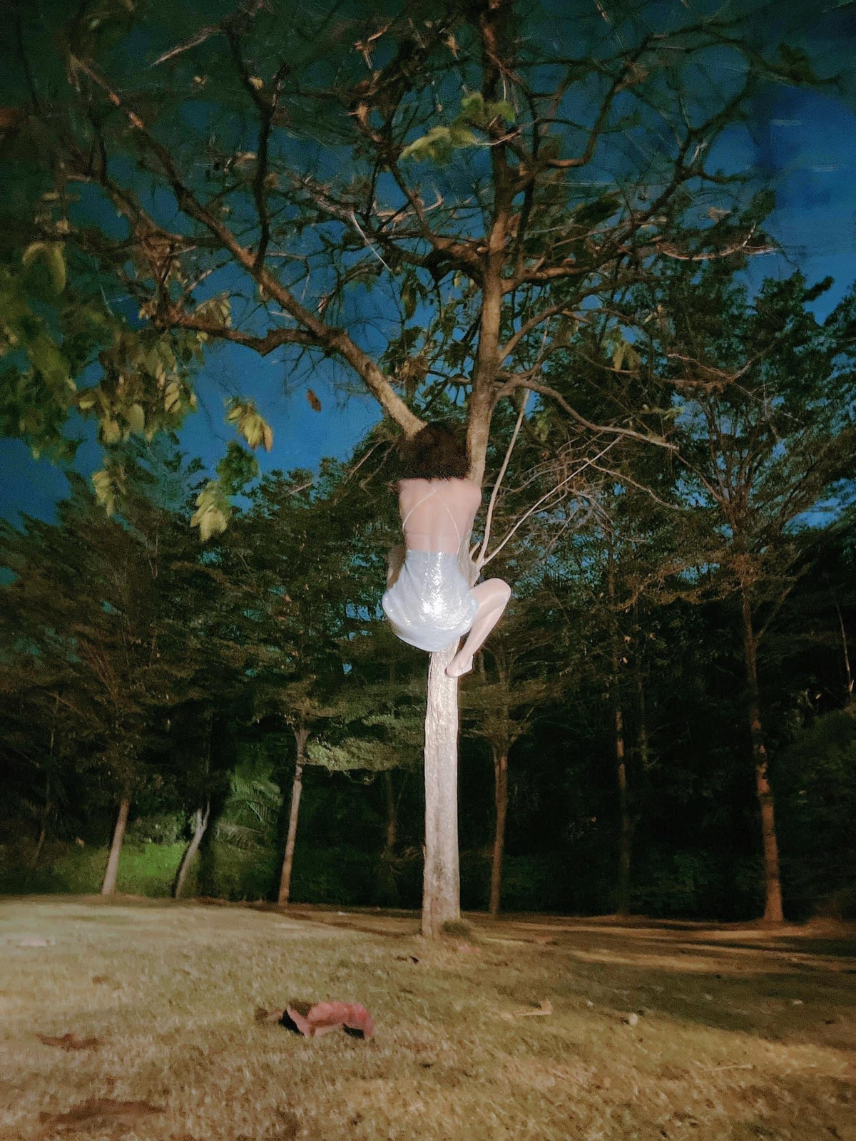 Dựa theo những hình ảnh do Bo tiết lộ, concept mà (có vẻ) anh chàng này đang theo đuổi là tiên nữ ngồi tu luyện, sau đó chán quá nên leo cây chăng?