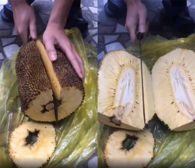 Dưới phần bình luận, các netizen chia buồn với chủ quả mít không kém phần hài hước: "Thương anh quá, nhìn tưởng sắp được ăn quả mít to, ngon, ngọt... ấy vậy mà lại..." hay "Trông cây mấy năm chờ được ngày ăn quả nhưng ai dè vớ ngay được quả không ngon... Thương anh".