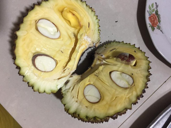 Về cơ bản đây không phải mít dở nhưng chưa thực sự hấp dẫn đến mức phải trầm trồ.