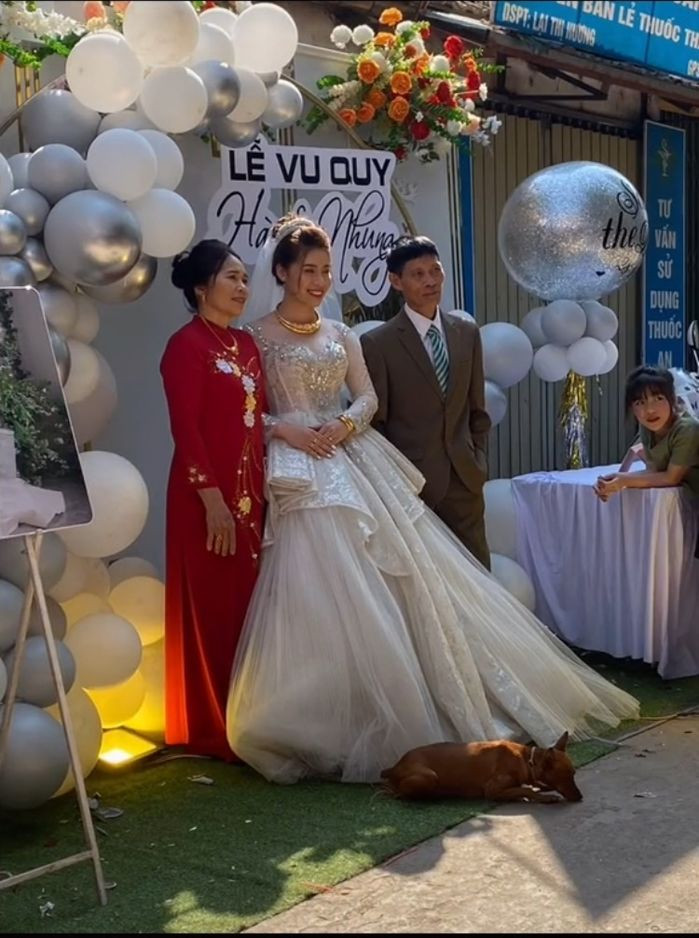 Loài chó và một con vật rất thông minh và có nhiều cảm xúc. Chúng có thể biết hết những chuyện đang xảy ra trong gia đình bởi vậy chúng mới có những hành động đặc biệt như thế.