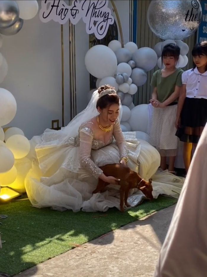 Bên dưới bài đăng có rất nhiều cư dân mạng để lại những bình luận khen ngợi chú chó.