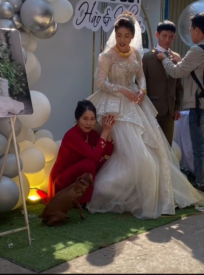 Chú chó cưng hiểu được rằng đó là ngày cô dâu đi lấy chồng và sẽ không còn ở bên chú như trước được nữa nên đã nũng nịu, luyến tiếc đến thế.