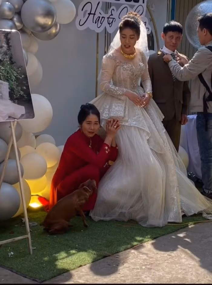 Chú chó cưng hiểu được rằng đó là ngày cô dâu đi lấy chồng và sẽ không còn ở bên chú như trước được nữa nên đã nũng nịu, luyến tiếc đến thế.