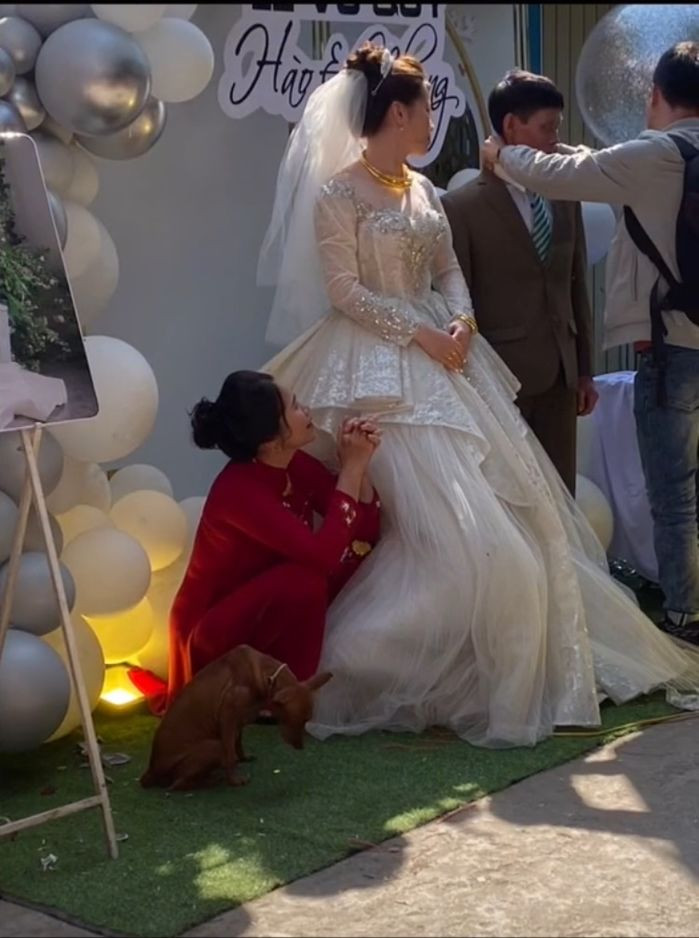 "Chú chó thông minh quá, chúng biết sắp phải xa cô chủ rồi nên mới vậy" hay "Giống tui hôm cưới, con chó nhà tôi cứ ngồi nhìn tôi xong lại quanh quẩn bên cái váy cưới"... là những bình luận dân mạng để lại.