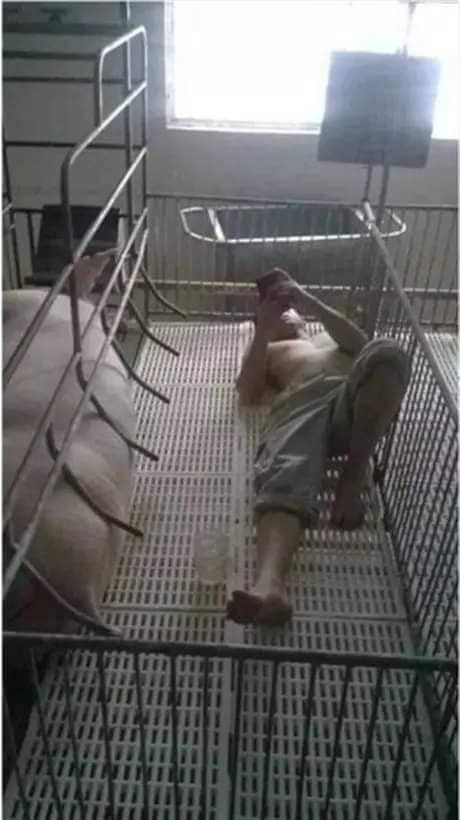 Trong cuộc sống hôn nhân, bất kỳ cặp vợ chồng nào cũng không tránh khỏi những lúc cãi nhau, bất đồng quan điểm.