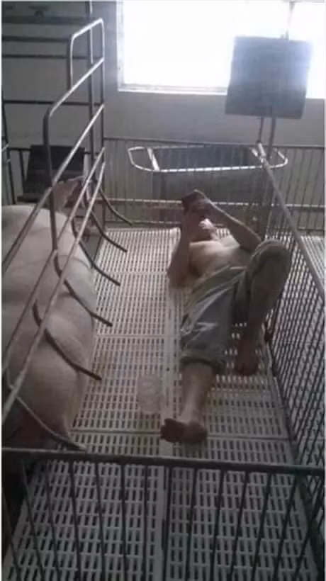 Trong cuộc sống hôn nhân, bất kỳ cặp vợ chồng nào cũng không tránh khỏi những lúc cãi nhau, bất đồng quan điểm.