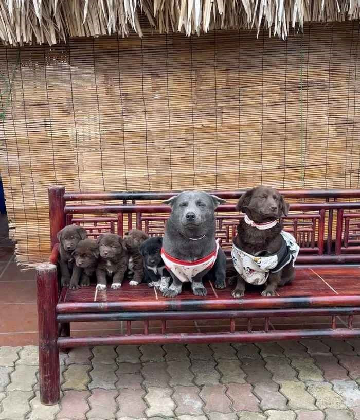 Sinh ra ở vùng núi Tây Bắc, idol Dúi đã nhanh chóng phủ sóng khắp các cõi mạng xã hội khi ấy trong một thời gian dài.