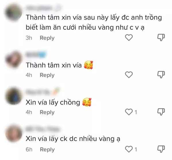 Ở phần bình luận bài đăng, ngoài việc ghen tị, xuất hiện rất nhiều tài khoản vào "xin vía" mong sau này bản thân lấy chồng cũng được "gánh nặng" như vậy.