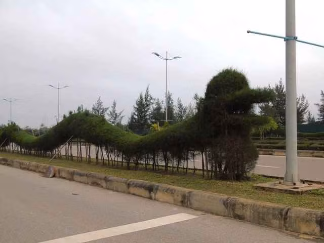 Sau khi xuất hiện trên MXH, nhiều ý kiến cho rằng những mô hình rồng này không thể hiện được sự uy nghiêm, mạnh mẽ của một linh vật.