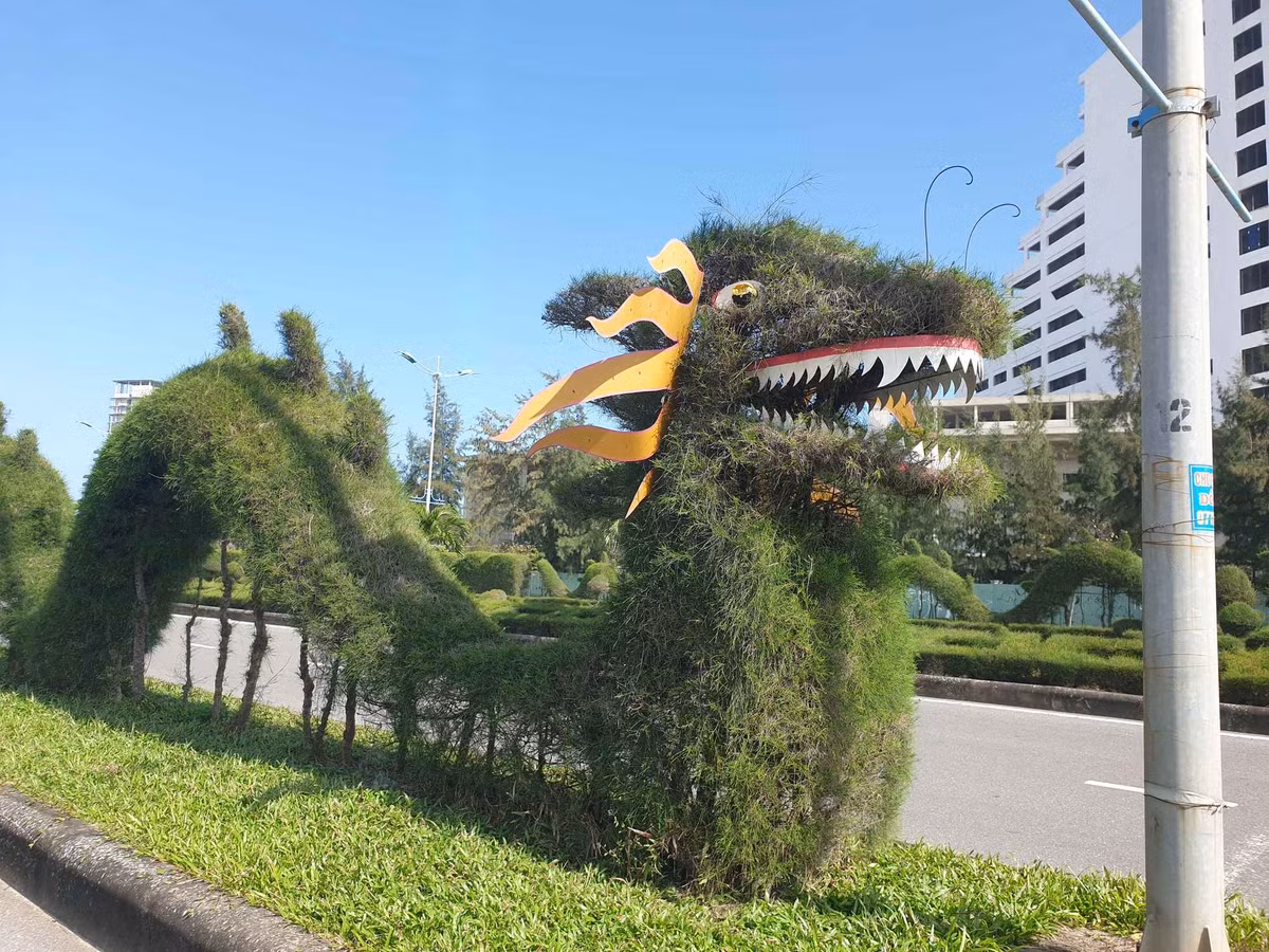 Linh vat rong tao hinh tu cay xanh o Quang Binh khien netizen tranh cai