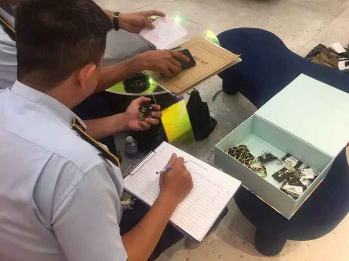 Trước đó, chiều qua (9/12), Đội quản lý thị trường số 2 (Cục Quản lý thị trường TP.HCM) kiểm tra việc chấp hành pháp luật trong sản xuất, kinh doanh hàng hóa dịch vụ tại shop của Trang Nemo nằm trên đường Nguyễn Trãi, phường Nguyễn Cư Trinh, quận 1, TP. HCM.