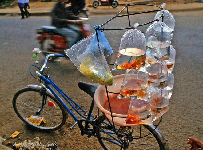 Cũng đúng thôi, trong túi đó chỉ có nước lã và "topping" cá vàng chứ đâu phải thức uống đường phố.