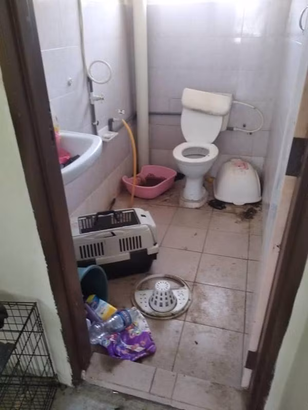 Thậm chí, chủ bài viết gọi người thuê nhà là "người thuê nhà đến từ địa ngục".