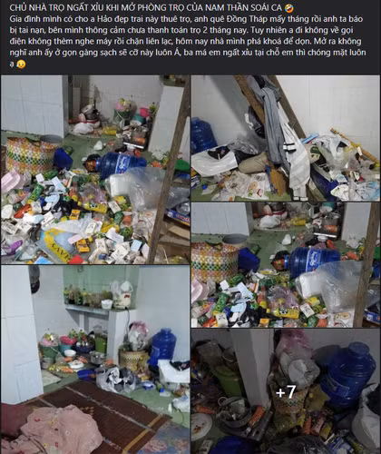 Người chủ nhà tiết lộ rằng anh ta đã không thể liên hệ với vị khách thuê sau khi phát hiện tình trạng đáng sợ của căn nhà. Anh đã liên lạc với Cục Thú Y để làm việc.