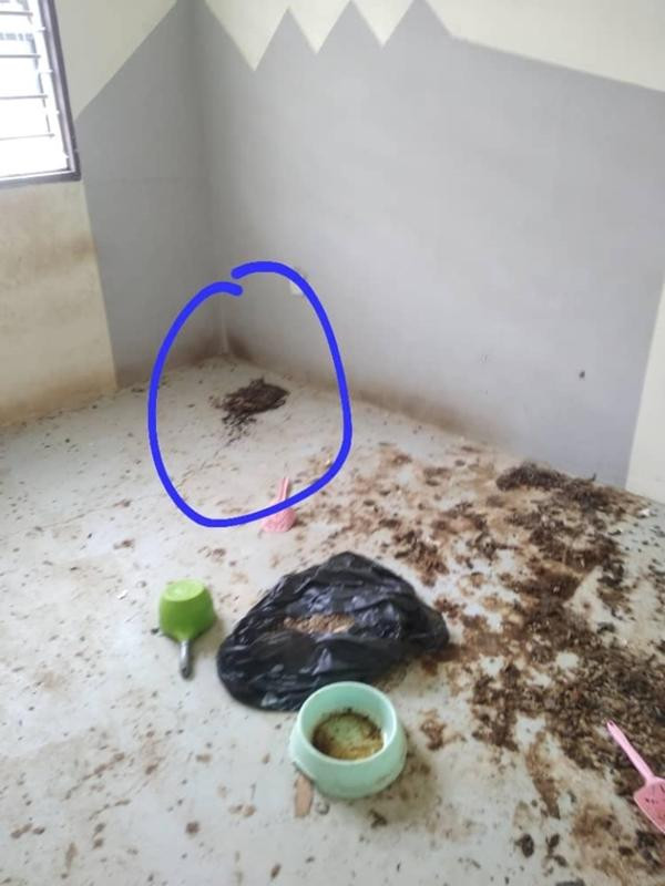 Theo đó, vị khách thuê này trước đó đã viện nhiều lý do để ngăn anh ta ghé qua kiểm tra tình trạng nhà. Cuối cùng, người đàn ông cũng đã tìm được cách đến thăm nhà và thông báo cho người thuê việc dừng hợp đồng vì anh có dự định bán nhà.