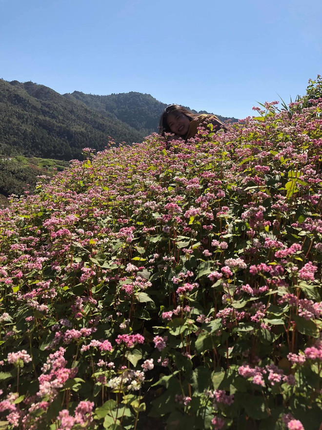 Cụ thể, trong chuyến du lịch Hà Giang, cô gái hào hứng muốn chụp ảnh cùng cánh đồng hoa tam giác mạch để làm kỷ niệm tuổi thanh xuân. Sau khi nhờ mãi anh người yêu mới chụp cho vỏn vẹn mấy bức “để đời”.